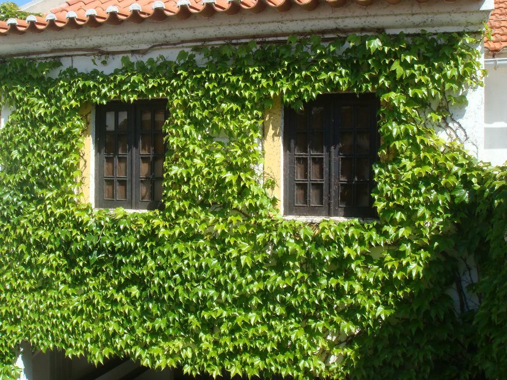 Rio Natural Vila Nova de Milfontes Bagian luar foto